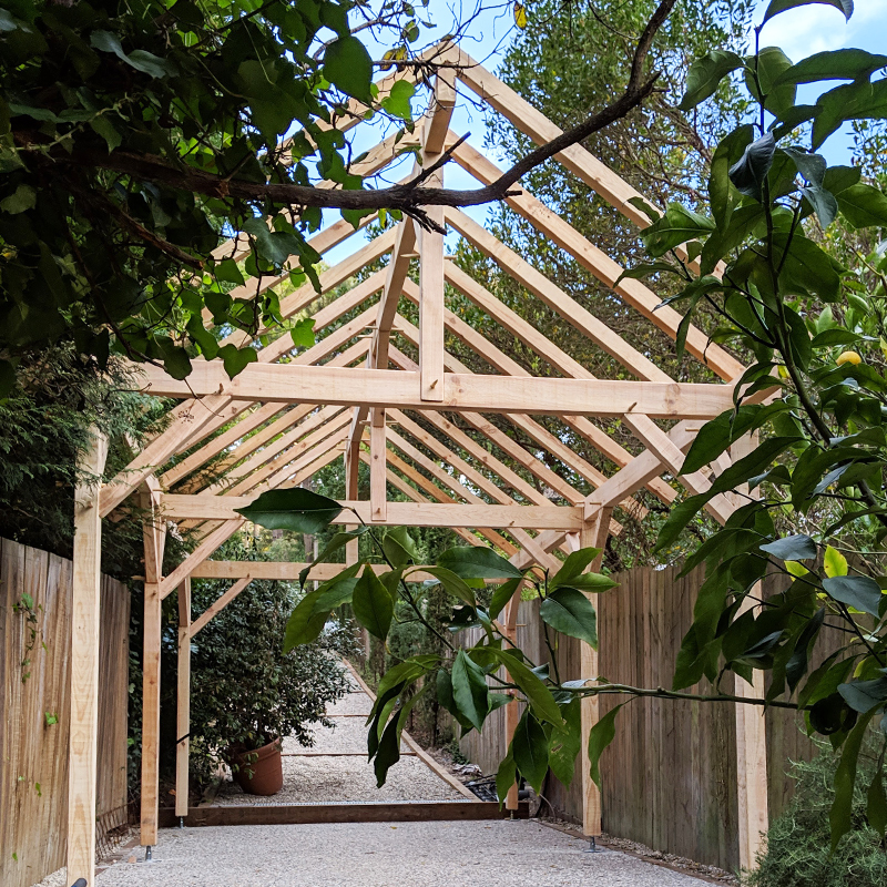 structure bois construction neuve